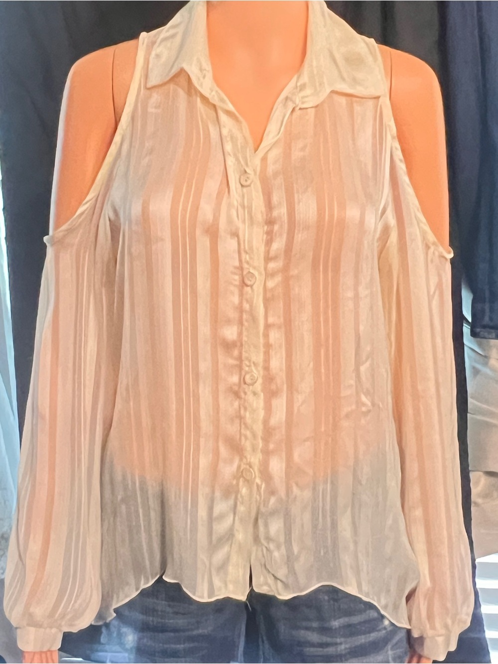 Sheer Button-Up Blouse